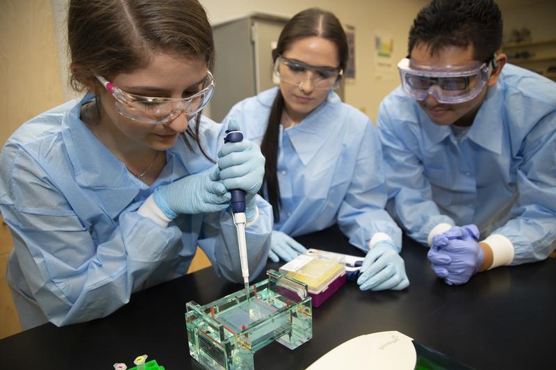 Picture of three students working in a lab